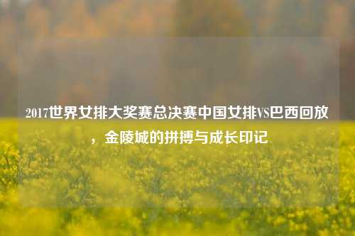 2017世界女排大奖赛总决赛中国女排VS巴西回放，金陵城的拼搏与成长印记