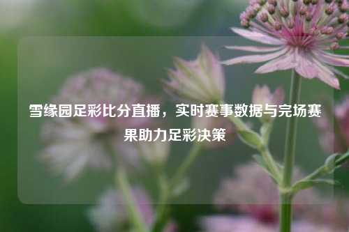 雪缘园足彩比分直播，实时赛事数据与完场赛果助力足彩决策
