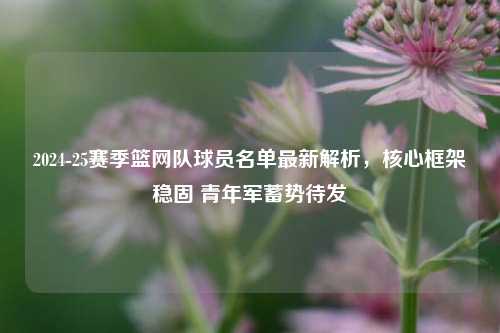 2024-25赛季篮网队球员名单最新解析，核心框架稳固 青年军蓄势待发