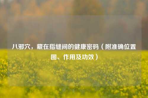 八邪穴，藏在指缝间的健康密码（附准确位置图、作用及功效）