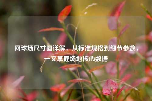 网球场尺寸图详解，从标准规格到细节参数，一文掌握场地核心数据