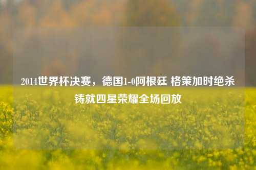 2014世界杯决赛，德国1-0阿根廷 格策加时绝杀铸就四星荣耀全场回放