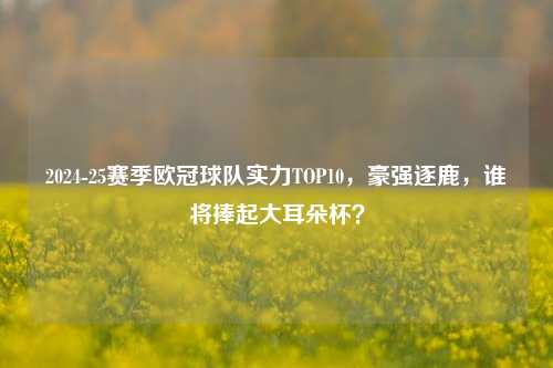 2024-25赛季欧冠球队实力TOP10，豪强逐鹿，谁将捧起大耳朵杯？
