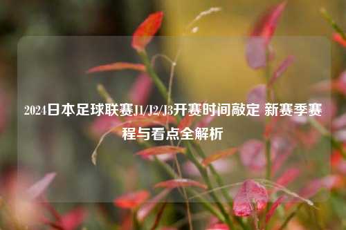 2024日本足球联赛J1/J2/J3开赛时间敲定 新赛季赛程与看点全解析