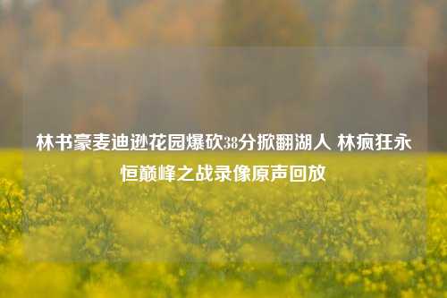 林书豪麦迪逊花园爆砍38分掀翻湖人 林疯狂永恒巅峰之战录像原声回放
