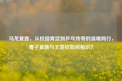 马龙夏露，从校园青涩到乒乓传奇的温暖同行，妻子夏露与王楚钦如何相识？