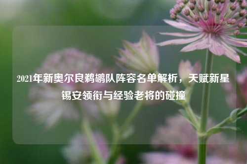 2021年新奥尔良鹈鹕队阵容名单解析，天赋新星锡安领衔与经验老将的碰撞