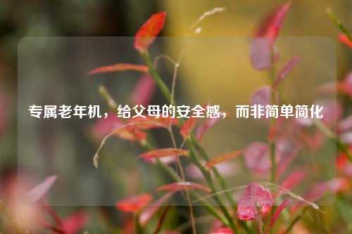 专属老年机,给父母的安全感,而非简单简化