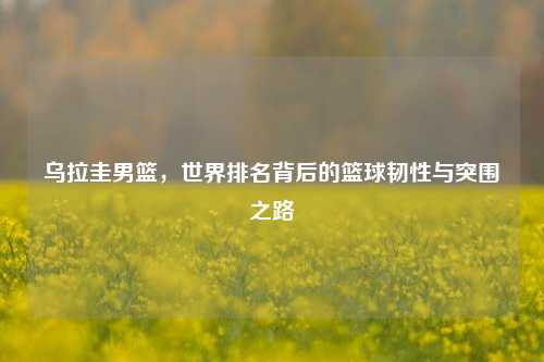 乌拉圭男篮，世界排名背后的篮球韧性与突围之路