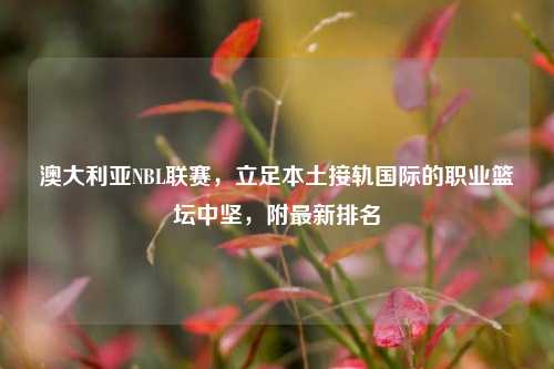 澳大利亚NBL联赛，立足本土接轨国际的职业篮坛中坚，附最新排名