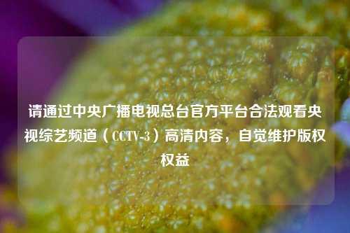 请通过中央广播电视总台官方平台合法观看央视综艺频道（CCTV-3）高清内容，自觉维护版权权益