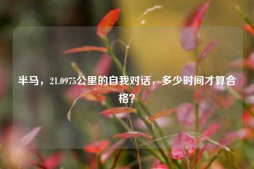 半马，21.0975公里的自我对话，多少时间才算合格？