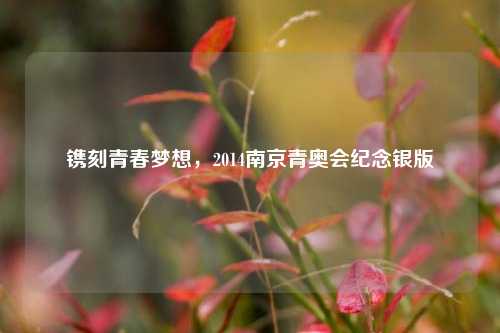 镌刻青春梦想，2014南京青奥会纪念银版