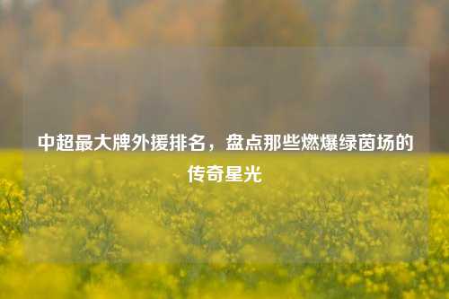 中超更大牌外援排名，盘点那些燃爆绿茵场的传奇星光