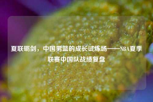 夏联砺剑，中国男篮的成长试炼场——NBA夏季联赛中国队战绩复盘