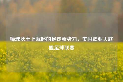 棒球沃土上崛起的足球新势力，美国职业大联盟足球联赛