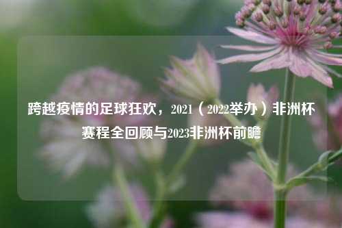 跨越疫情的足球狂欢，2021（2022举办）非洲杯赛程全回顾与2023非洲杯前瞻