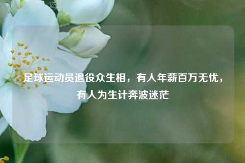 足球运动员退役众生相,有人年薪百万无忧,有人为生计奔波迷茫