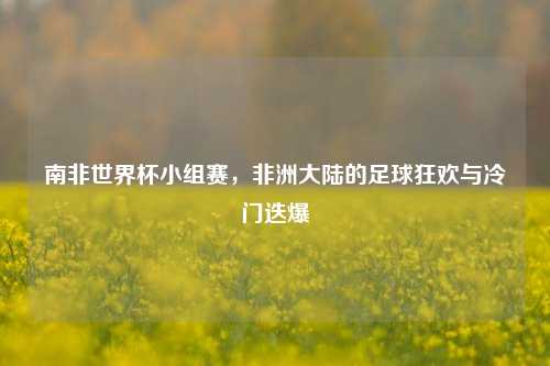 南非世界杯小组赛,非洲大陆的足球狂欢与冷门迭爆