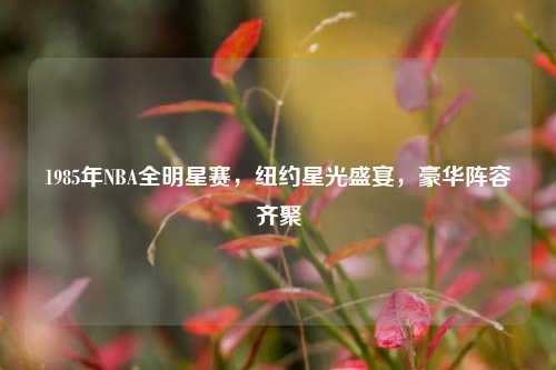 1985年NBA全明星赛，纽约星光盛宴，豪华阵容齐聚