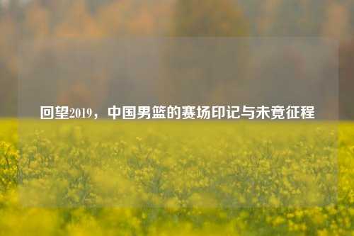 回望2019,中国男篮的赛场印记与未竟征程