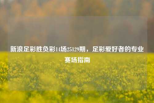 新浪足彩胜负彩14场25129期，足彩爱好者的专业赛场指南