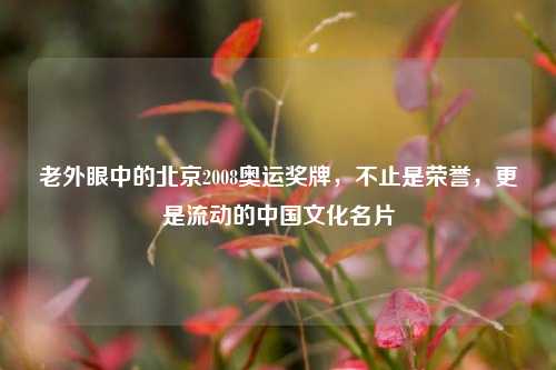 老外眼中的北京2008奥运奖牌，不止是荣誉，更是流动的中国文化名片
