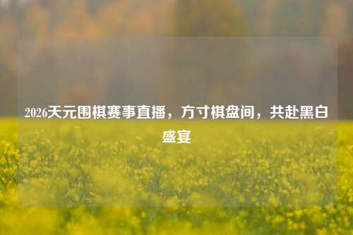 2026天元围棋赛事直播，方寸棋盘间，共赴黑白盛宴