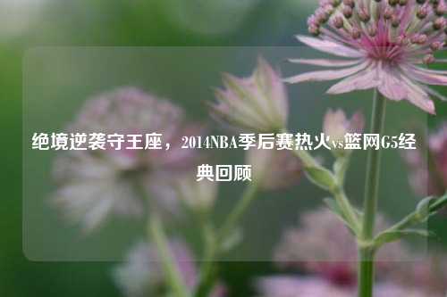 绝境逆袭守王座,2014NBA季后赛热火vs篮网G5经典回顾