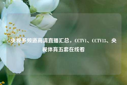 央视多频道高清直播汇总,CCTV1、CCTV13、央视体育五套在线看
