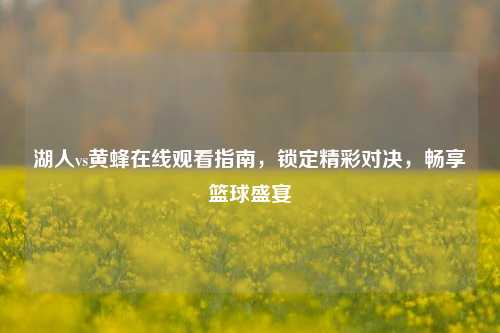 湖人vs黄蜂在线观看指南,锁定精彩对决,畅享篮球盛宴