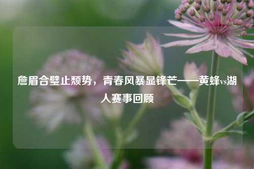 詹眉合璧止颓势，青春风暴显锋芒——黄蜂vs湖人赛事回顾