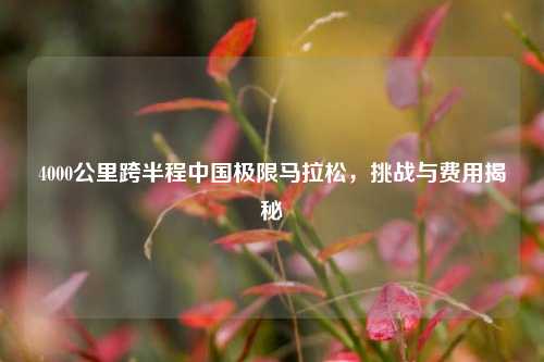 4000公里跨半程中国极限马拉松,挑战与费用揭秘