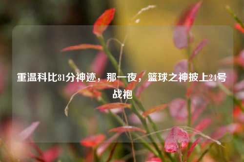 重温科比81分神迹,那一夜,篮球之神披上24号战袍