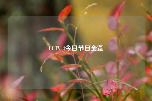 CCTV-4今日节目全览