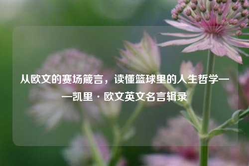 从欧文的赛场箴言，读懂篮球里的人生哲学——凯里·欧文英文名言辑录