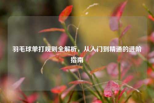 羽毛球单打规则全解析，从入门到精通的进阶指南