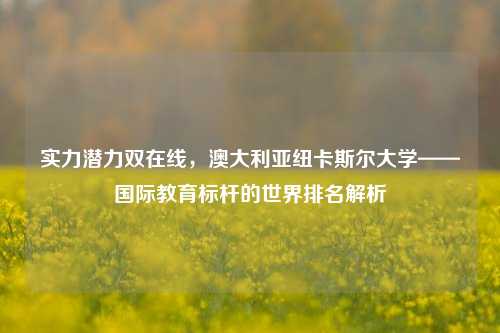 实力潜力双在线,澳大利亚纽卡斯尔大学——国际教育标杆的世界排名解析