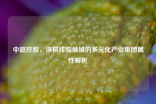 中超控股,深耕线缆领域的多元化产业集团属性解析