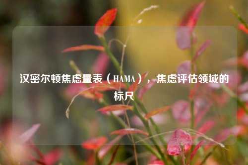 汉密尔顿焦虑量表(HAMA),焦虑评估领域的标尺