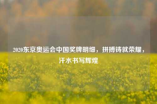 2020东京奥运会中国奖牌明细,拼搏铸就荣耀,汗水书写辉煌
