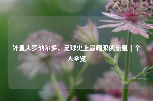 外星人罗纳尔多,足球史上最耀眼的流星|个人全览