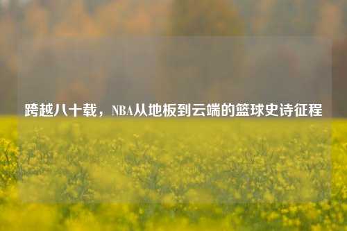 跨越八十载,NBA从地板到云端的篮球史诗征程
