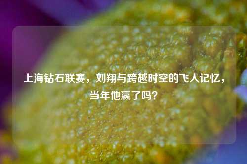 上海钻石联赛,刘翔与跨越时空的飞人记忆,当年他赢了吗?