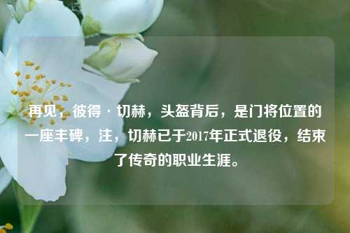再见,彼得·切赫,头盔背后,是门将位置的一座丰碑,注,切赫已于2017年正式退役,结束了传奇的职业生涯。