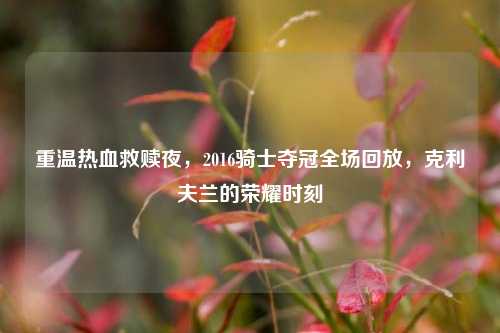 重温热血救赎夜，2016骑士夺冠全场回放，克利夫兰的荣耀时刻