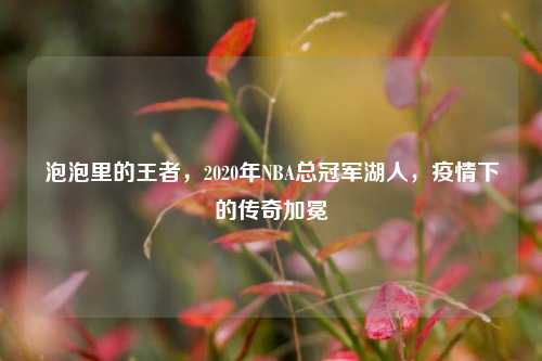 泡泡里的王者,2020年NBA总冠军湖人,疫情下的传奇加冕