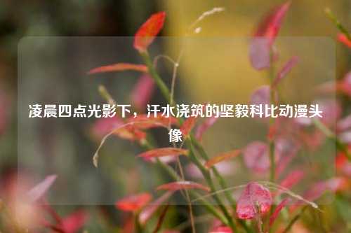 凌晨四点光影下,汗水浇筑的坚毅科比动漫头像