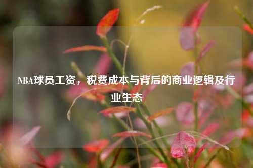NBA球员工资,税费成本与背后的商业逻辑及行业生态