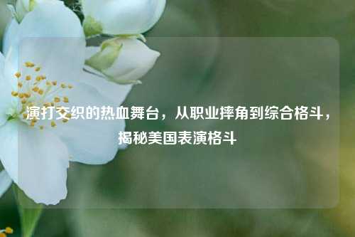 演打交织的热血舞台,从职业摔角到综合格斗,揭秘美国表演格斗